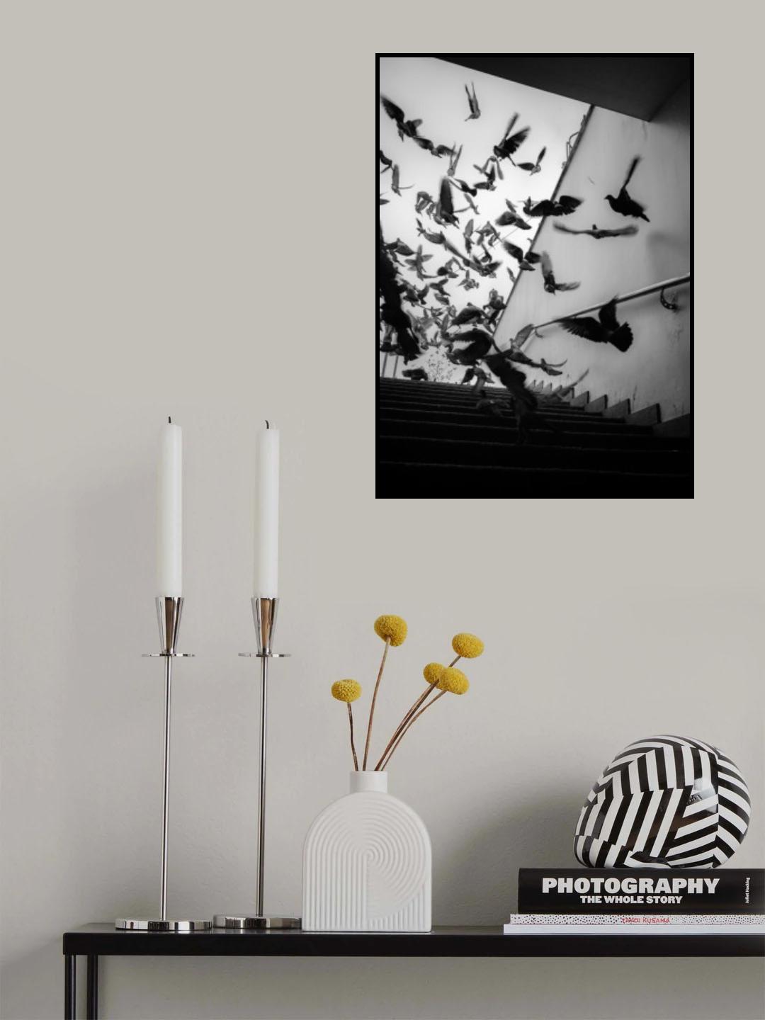 Birds Poster och Canvastavla