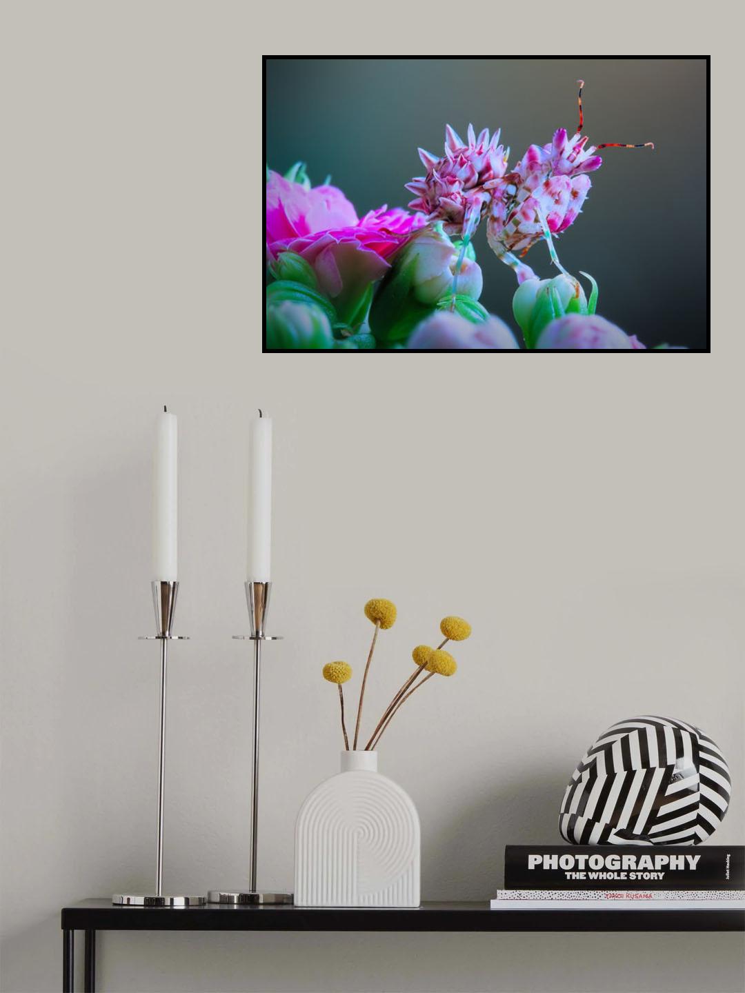 Flower power 3 Poster och Canvastavla