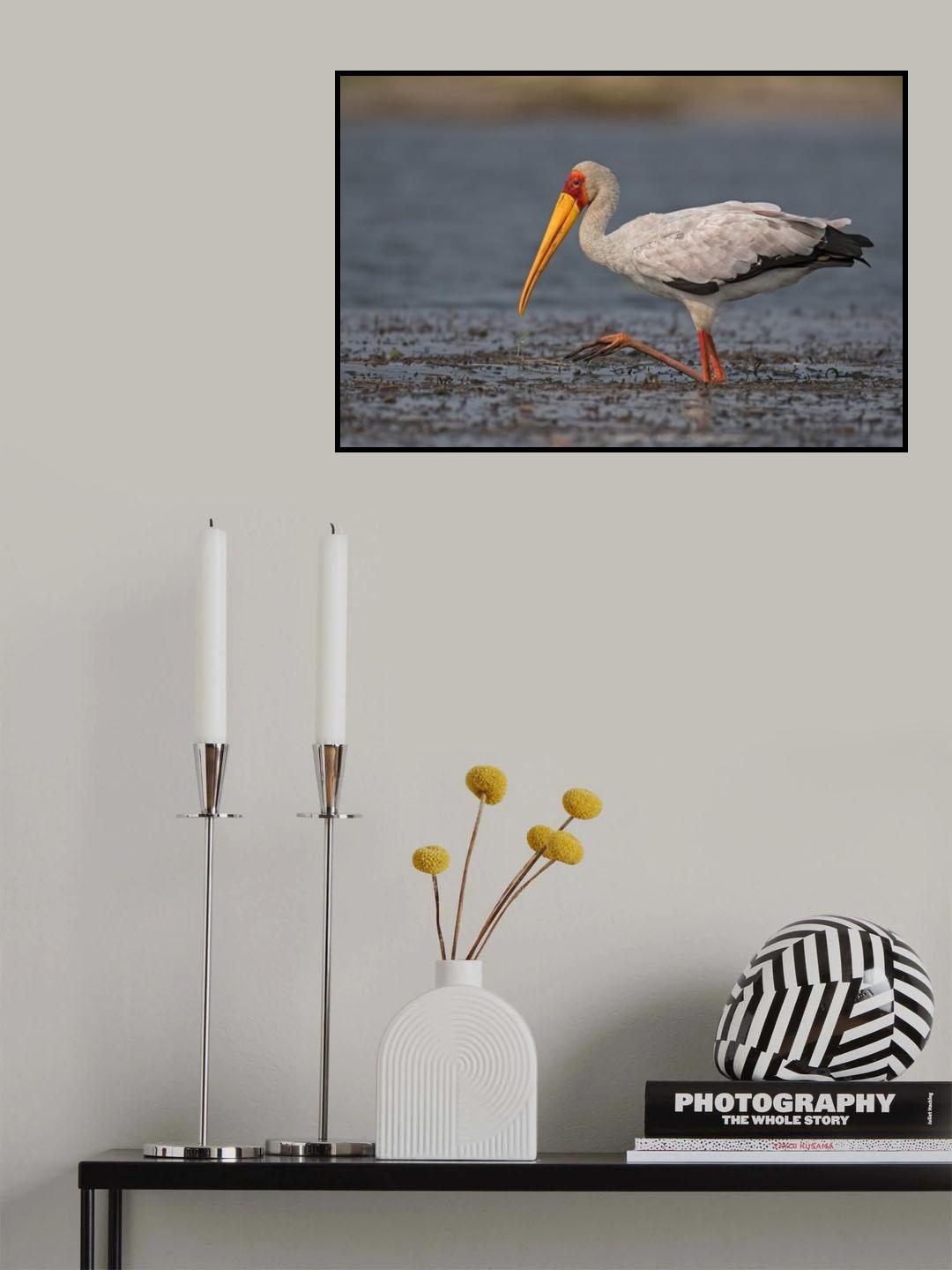 The yellow beak Poster och Canvastavla