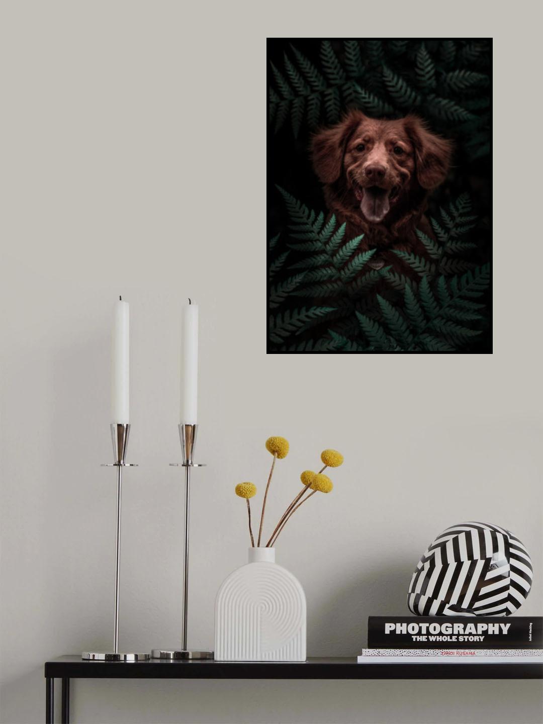 Dog Brown In The Forest Poster och Canvastavla