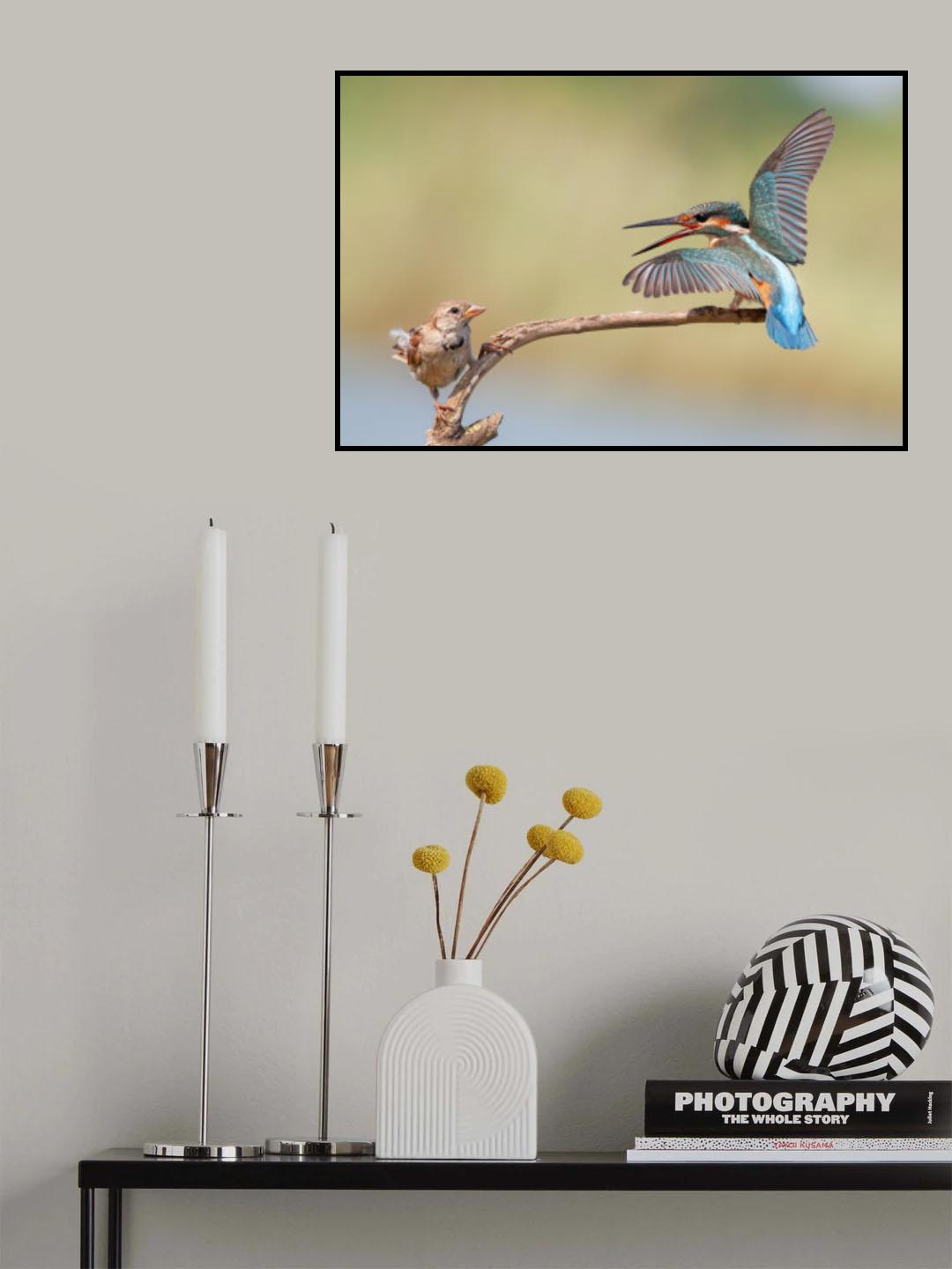 kingfisher vs Sparrow Poster och Canvastavla