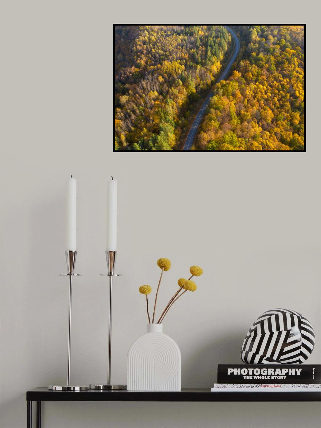 Through autumn Poster och Canvastavla