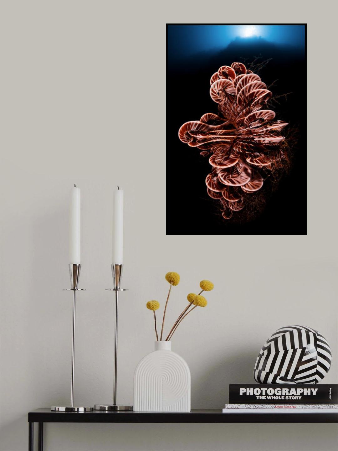 Crinoid Poster och Canvastavla