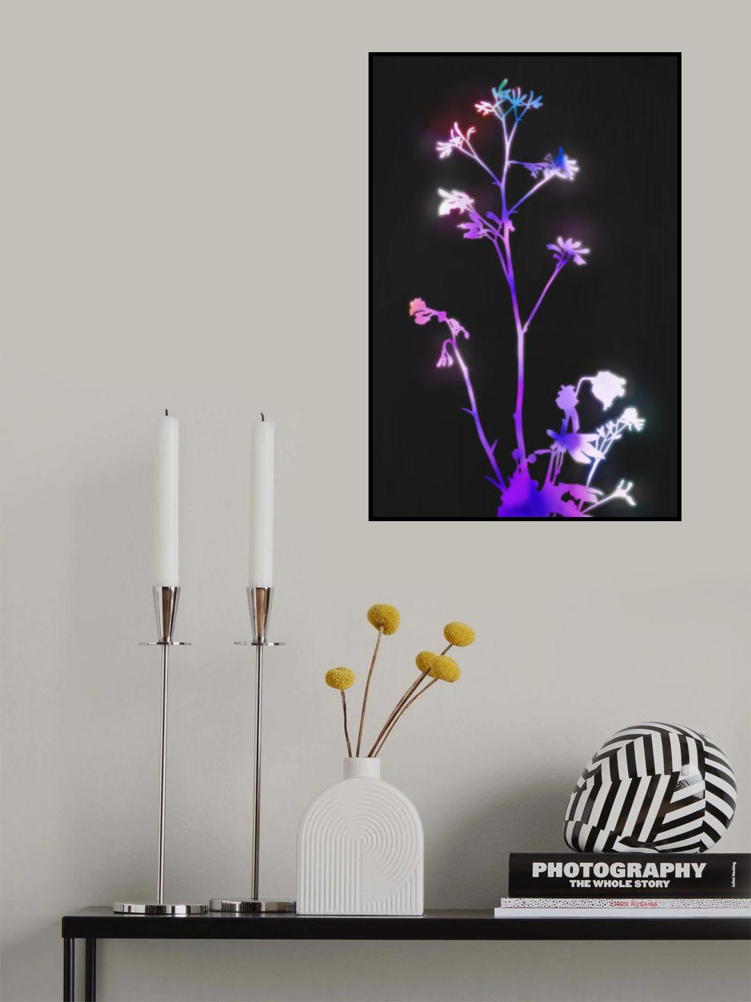 Florescence Purple Flowers Poster och Canvastavla