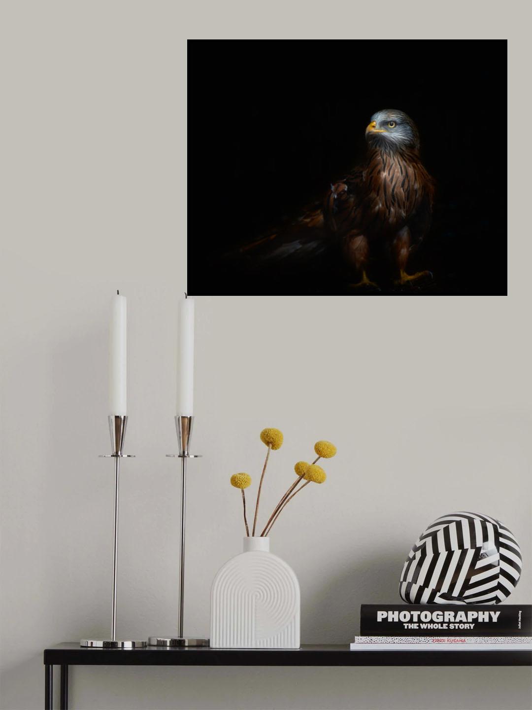 Red kite portrait Poster och Canvastavla