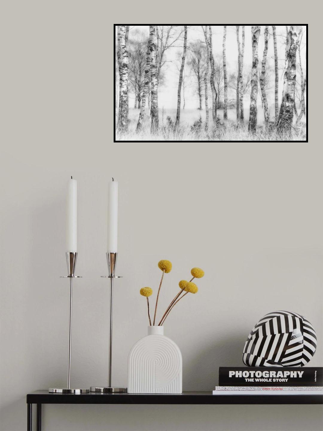 Black and white Poster och Canvastavla