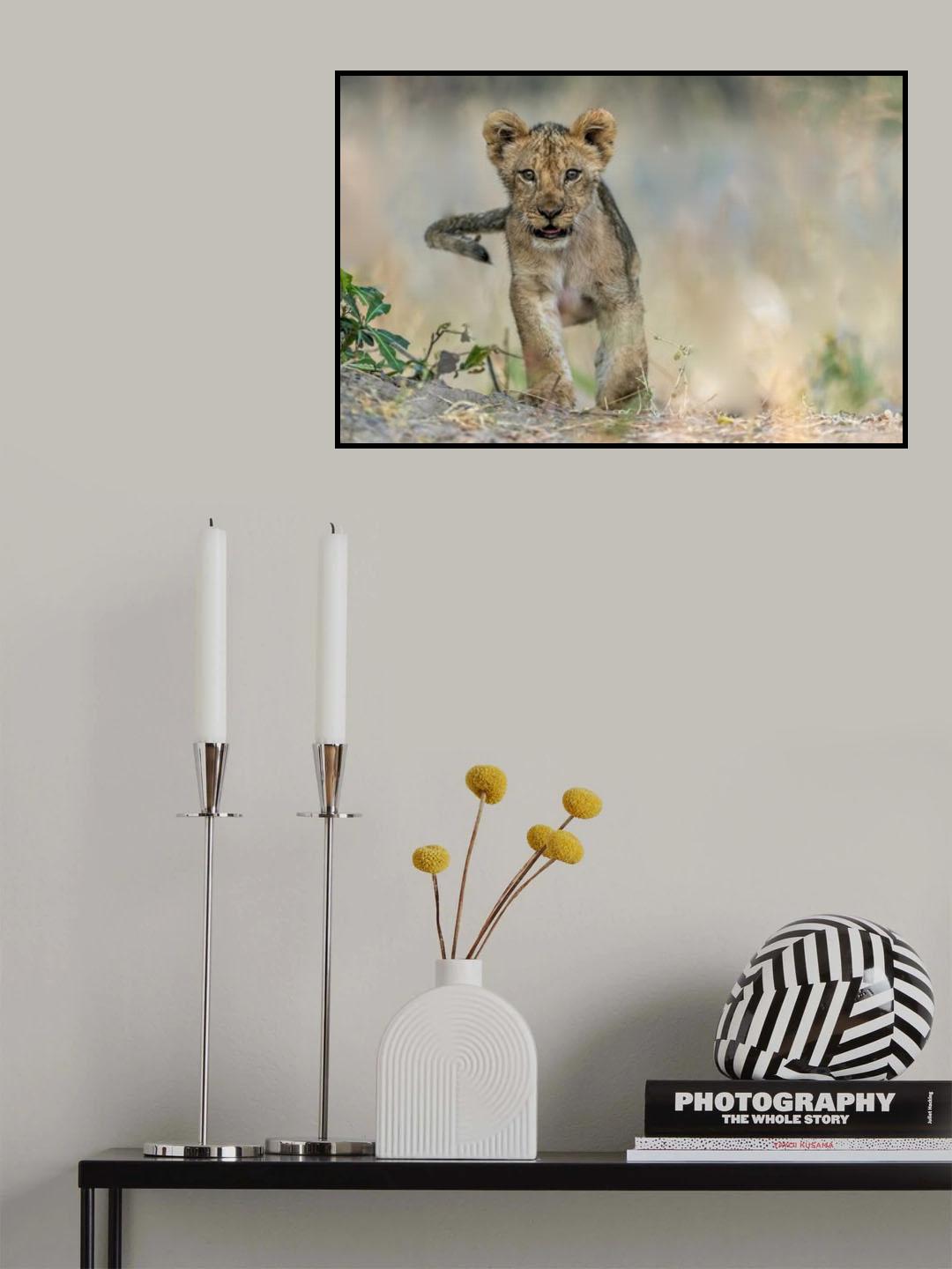 Cub - South Luangwa Poster och Canvastavla