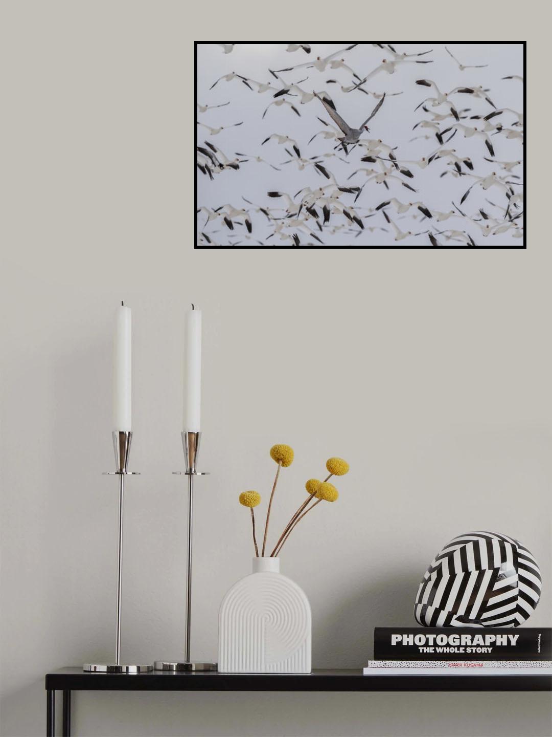 Poster och Canvastavla