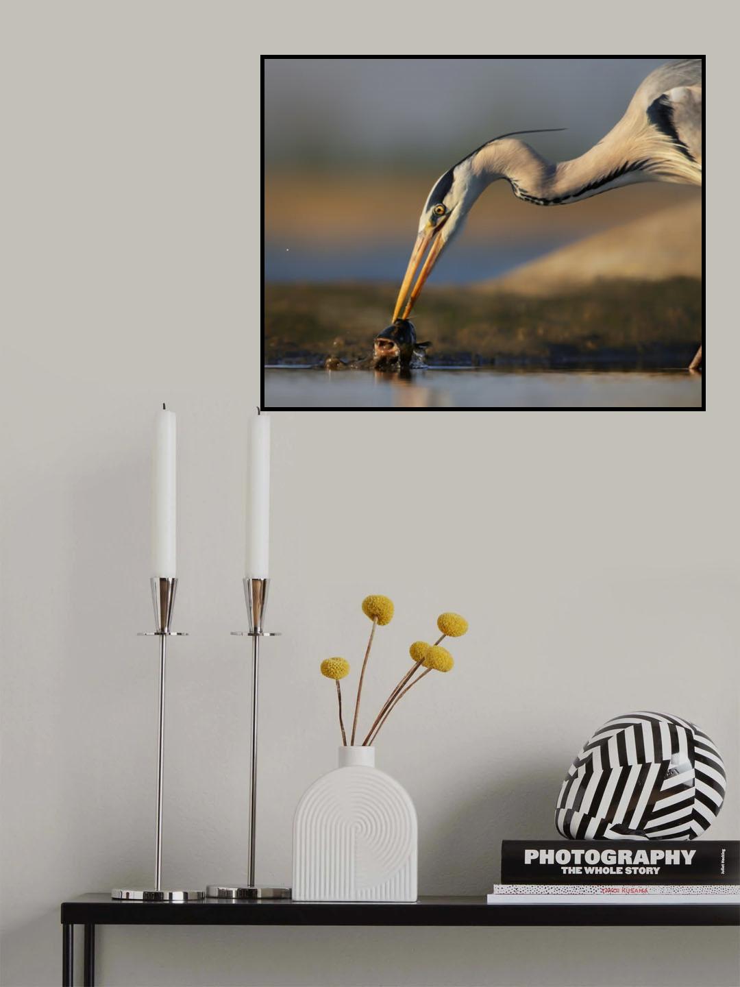 Catching in The Morning Poster och Canvastavla