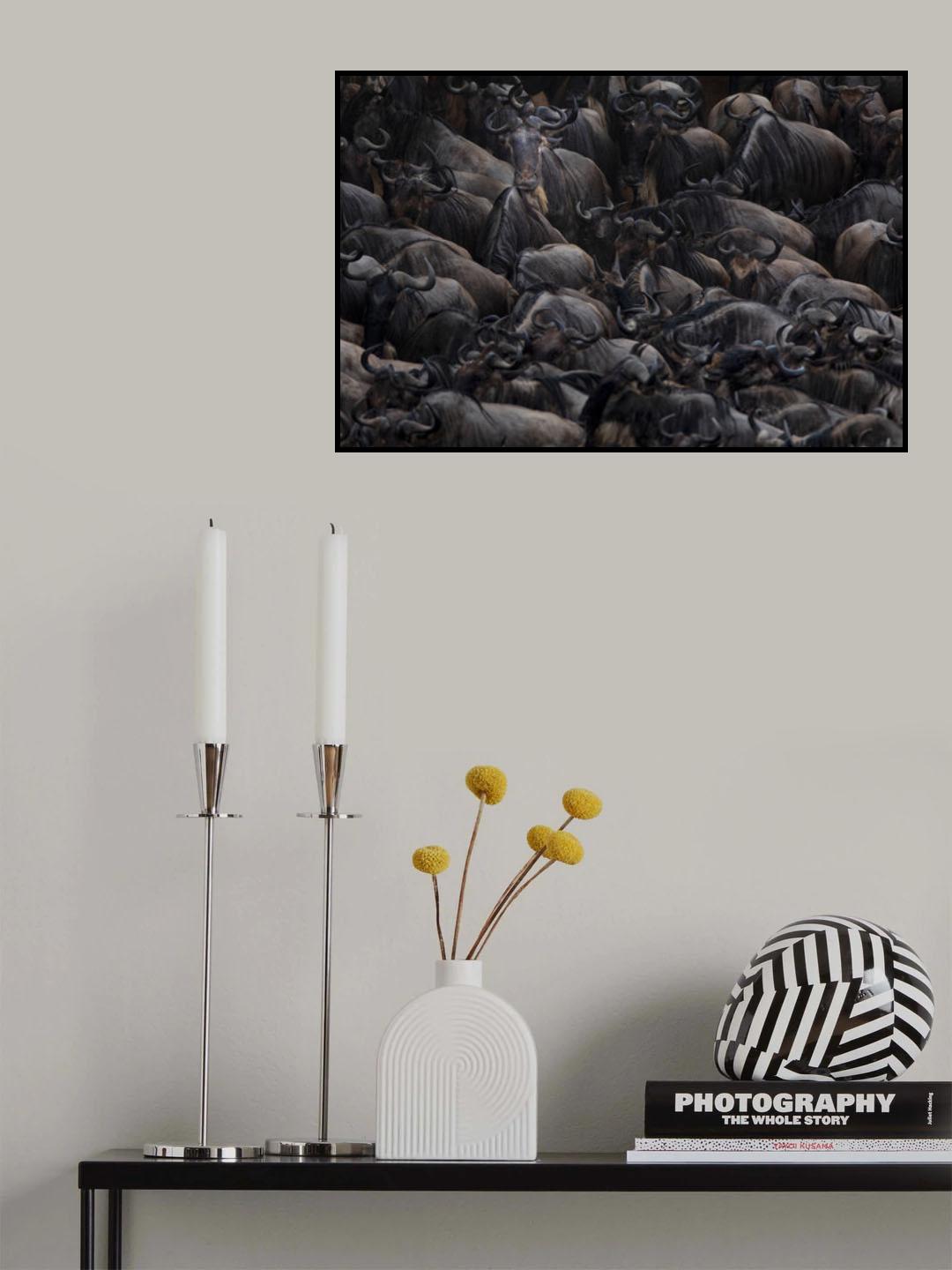 one Poster och Canvastavla