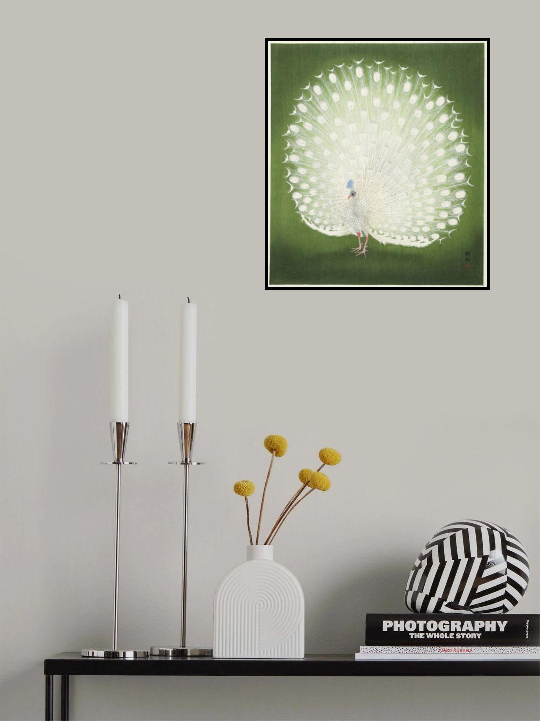 Peacock Poster och Canvastavla