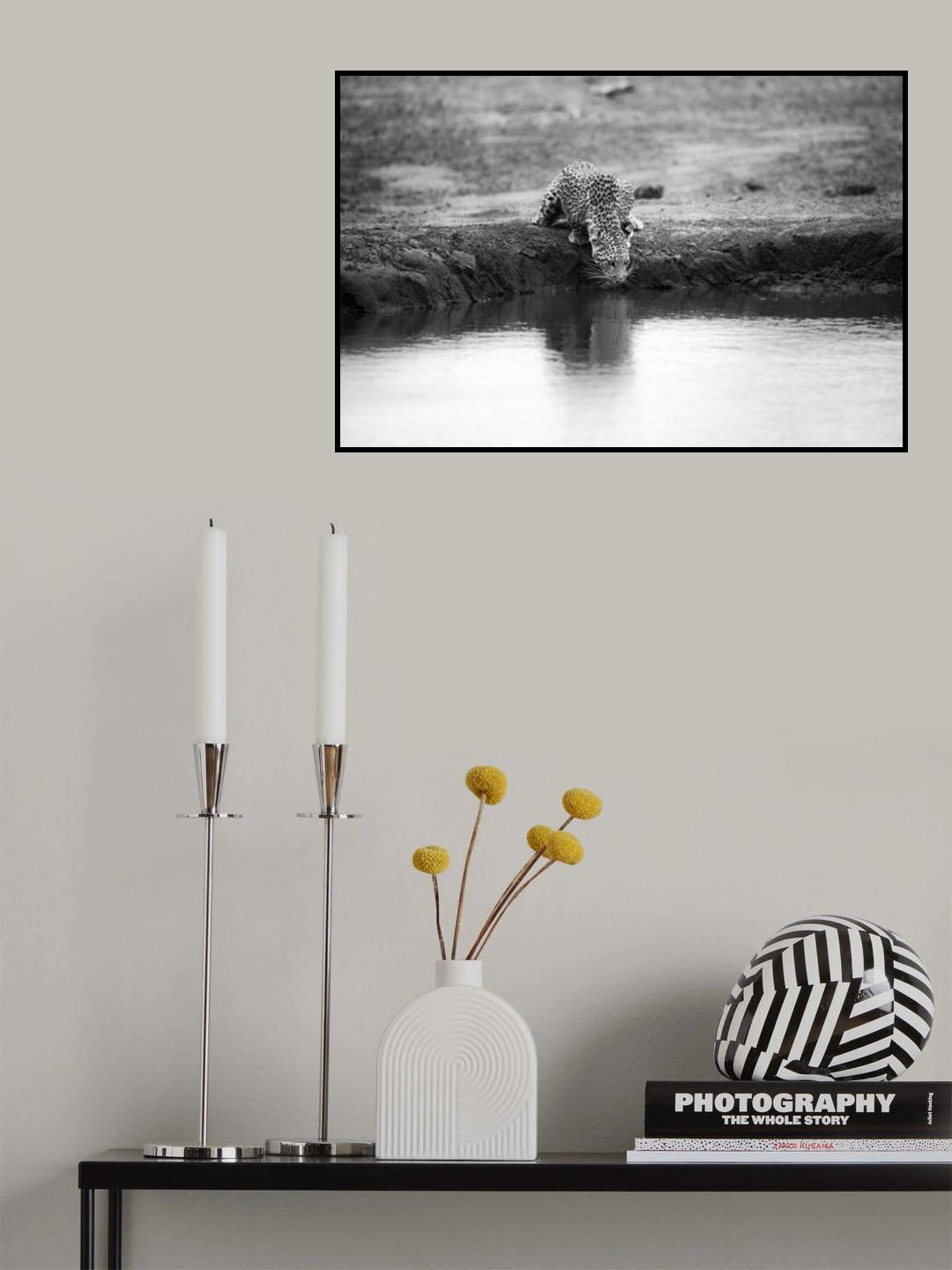 DECISIVE MOMENT Poster och Canvastavla
