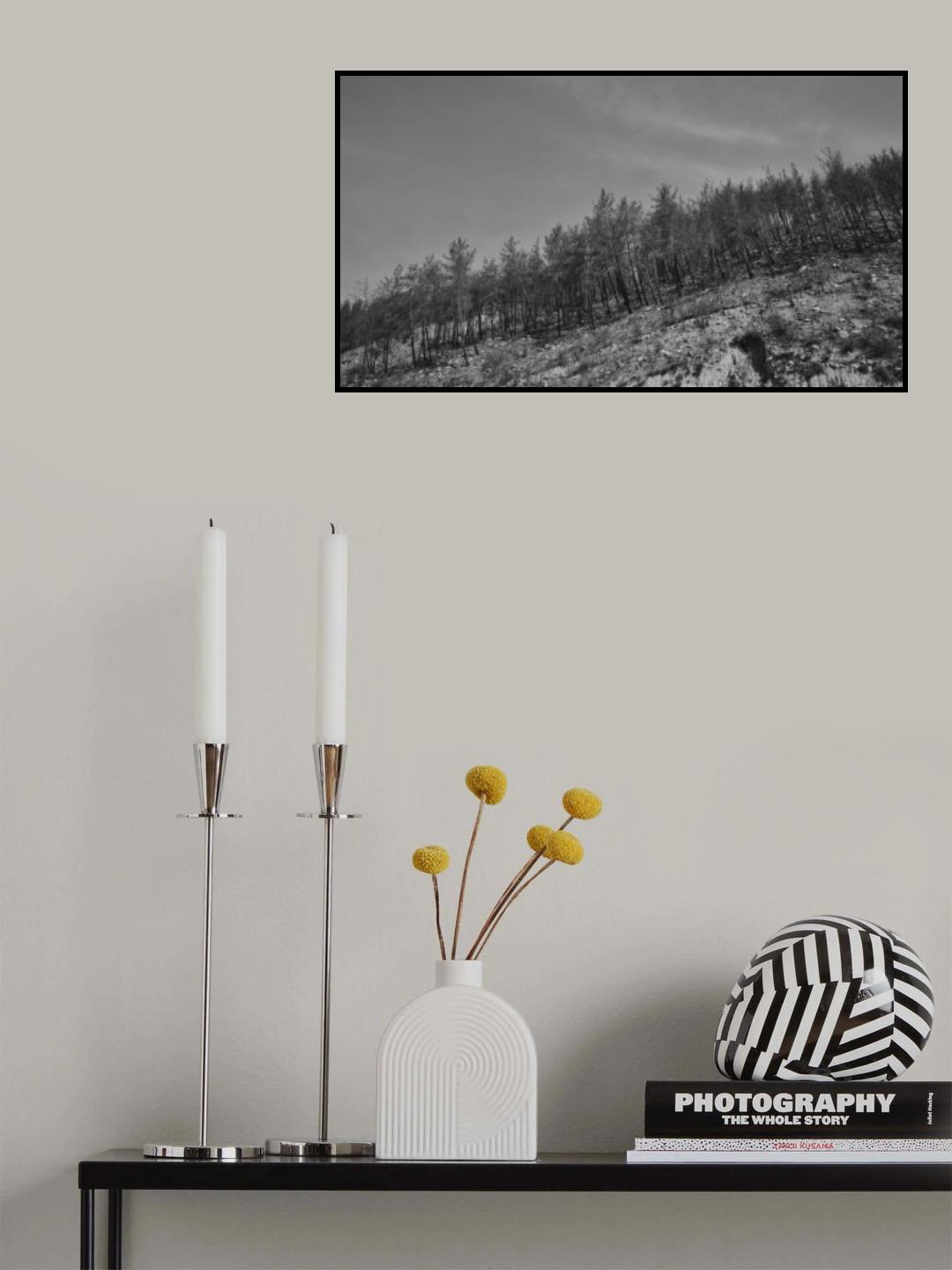 image of a forest after a fire Poster och Canvastavla