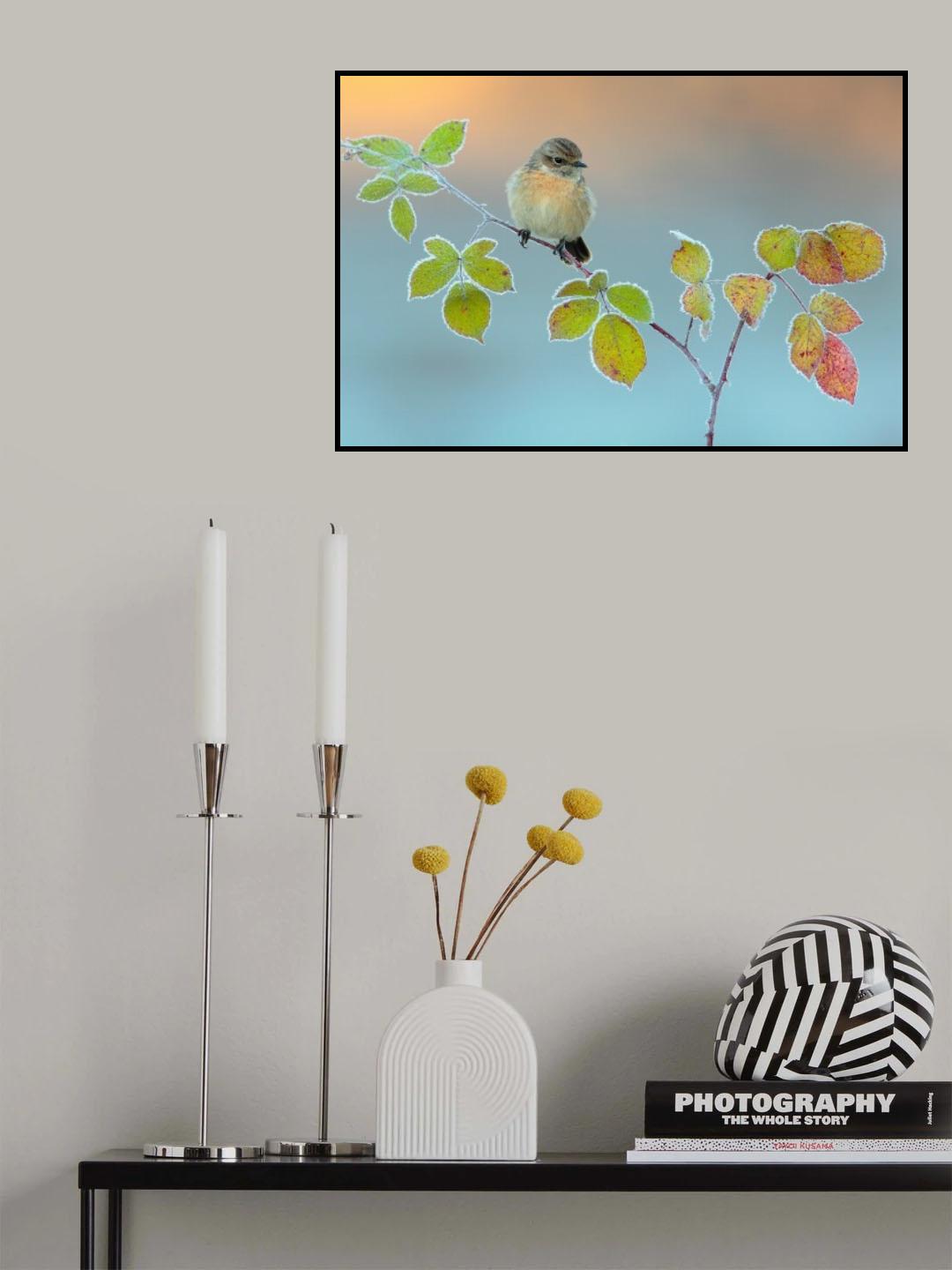 Winter colors Poster och Canvastavla