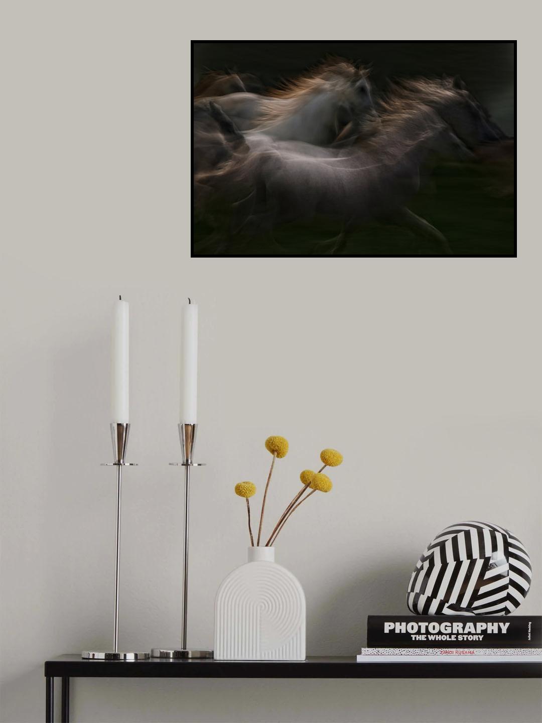 esata equina Poster och Canvastavla