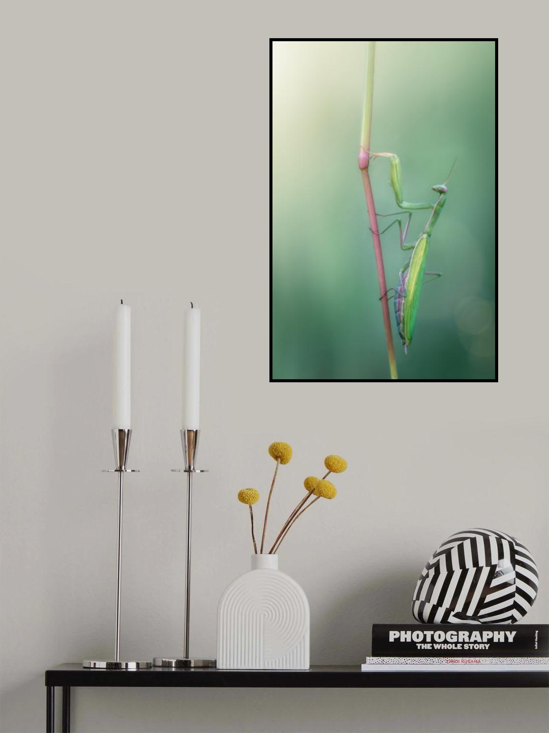 Stylish Poster och Canvastavla