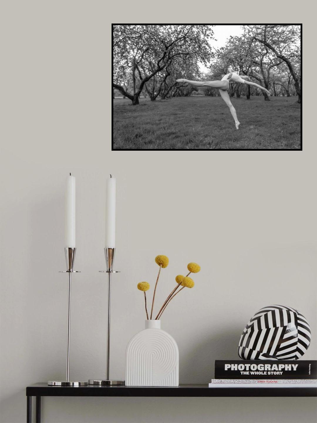 Dancer in the park Poster och Canvastavla