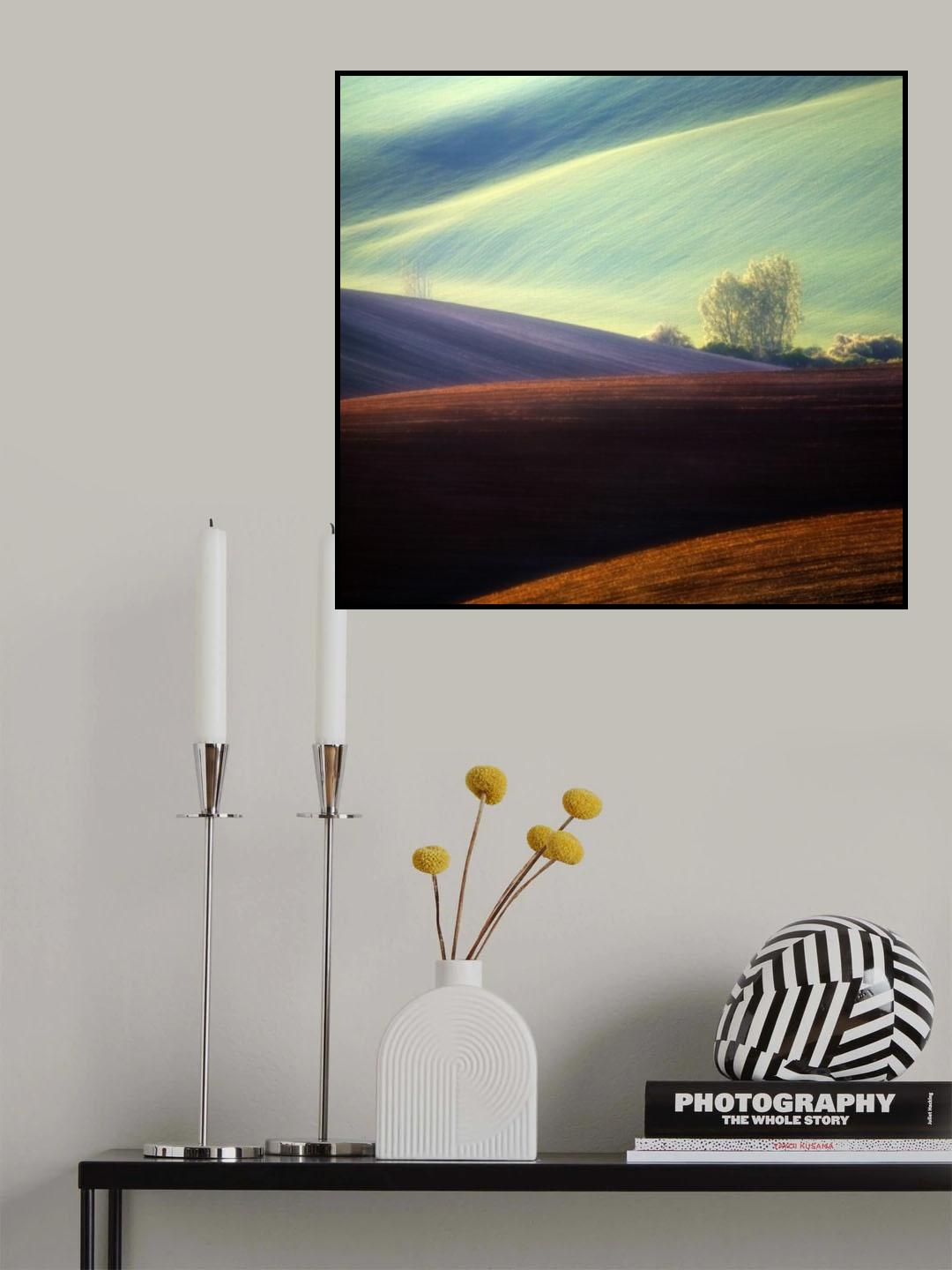 Fields... Poster och Canvastavla
