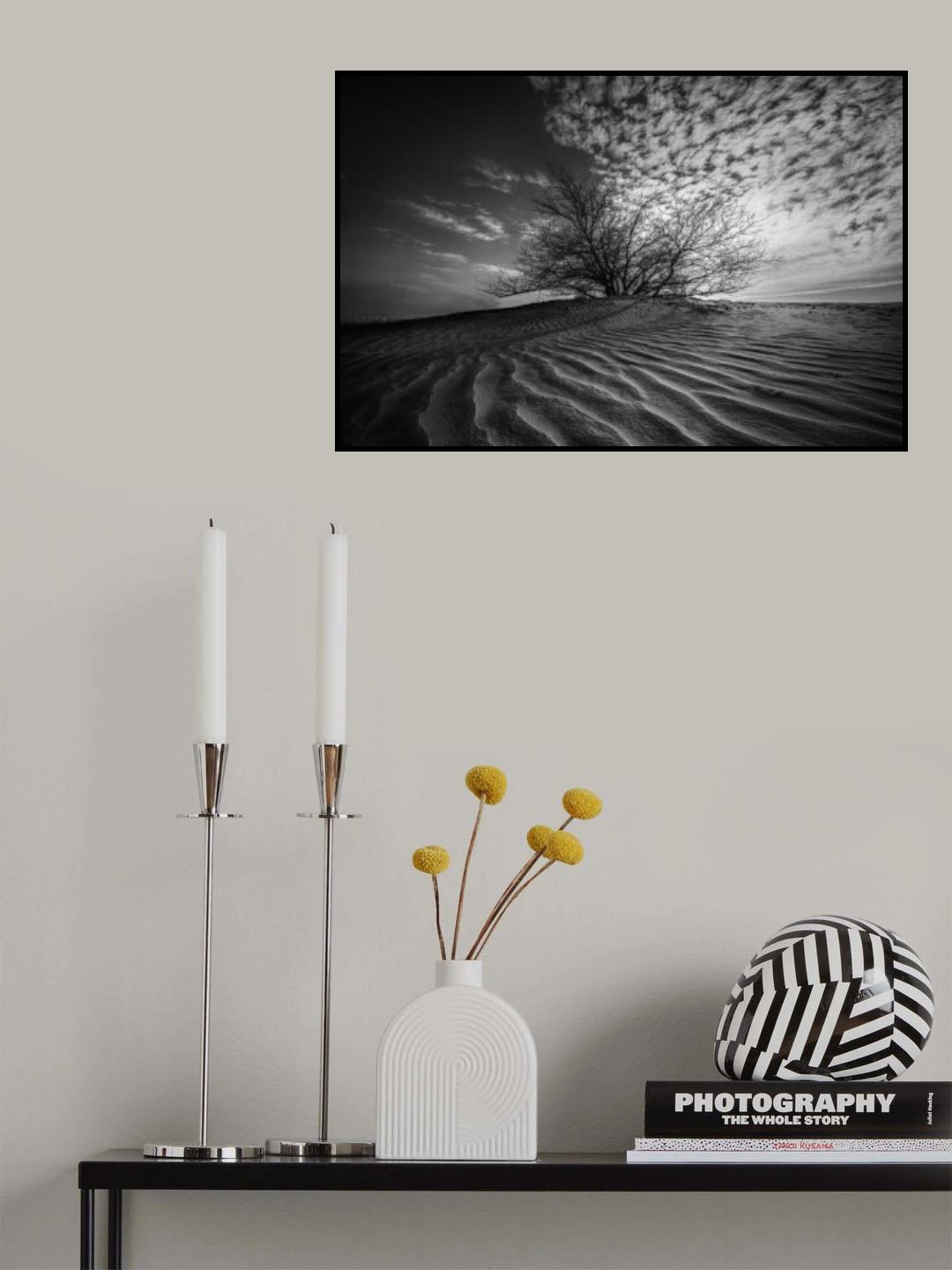After the wind Poster och Canvastavla