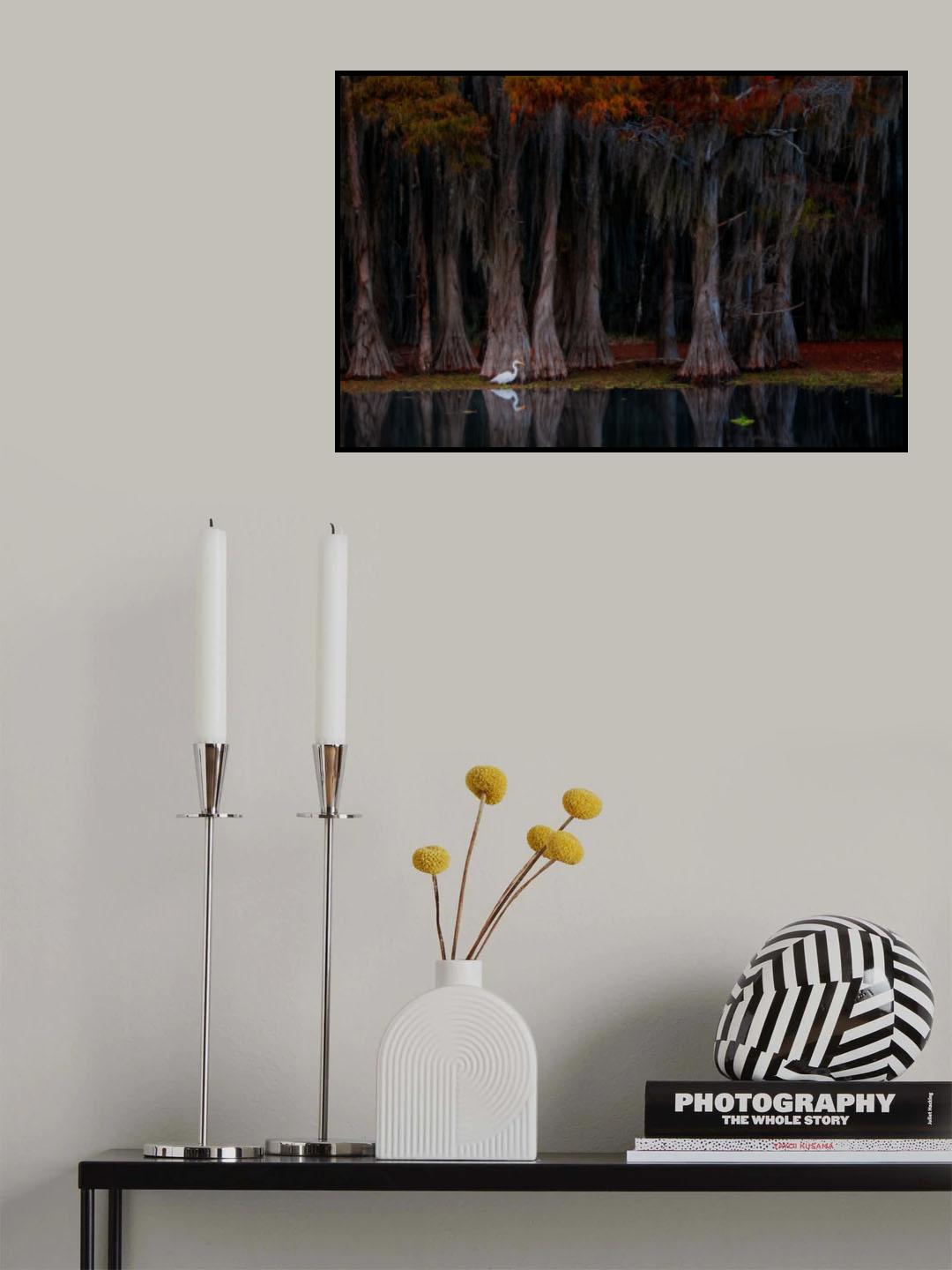 The swamp in autumn Poster och Canvastavla