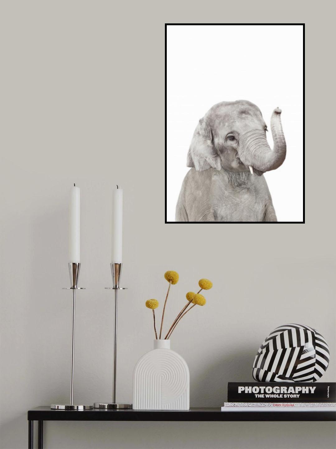Baby Elephant Poster och Canvastavla