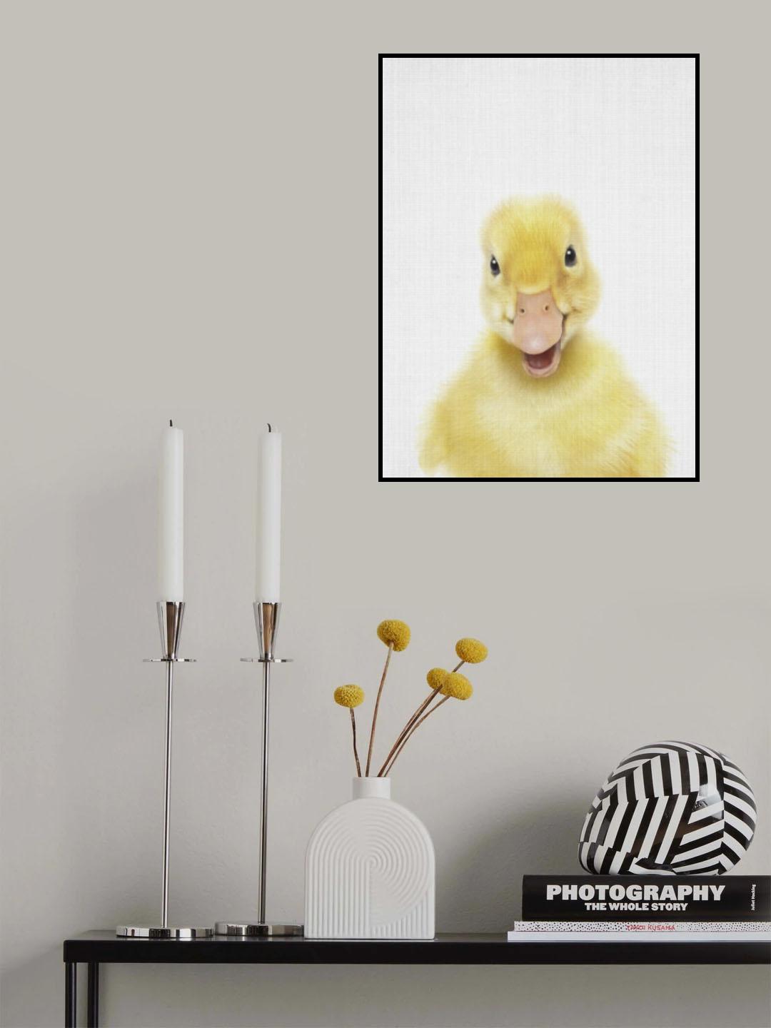 Peekaboo Baby Duck Poster och Canvastavla