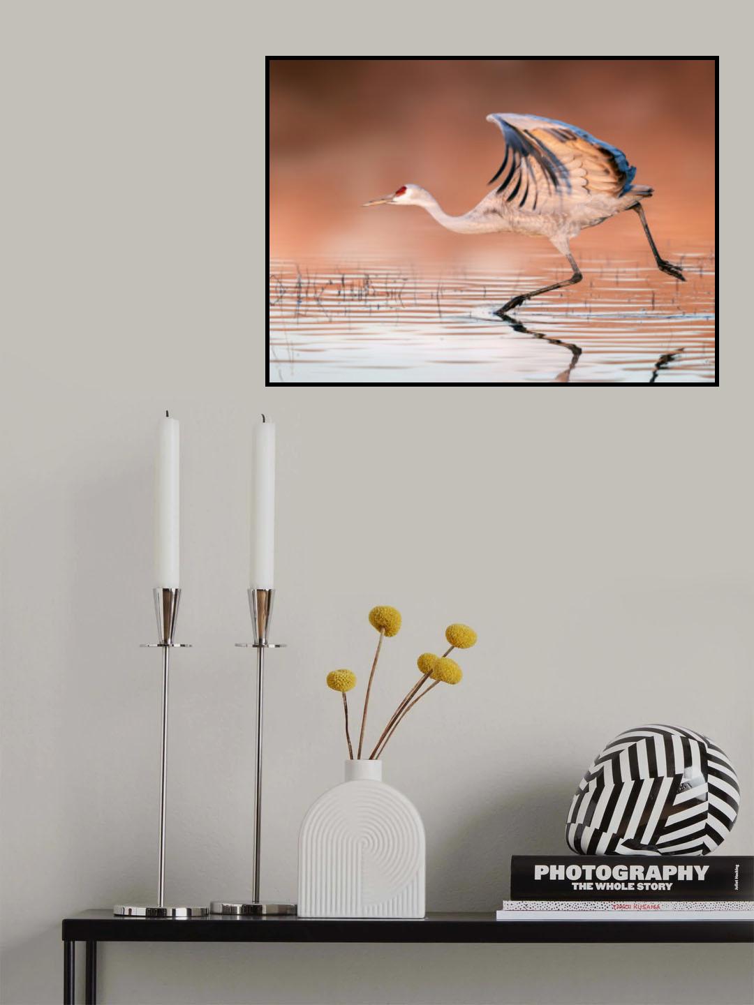 Running In The Morning Mist Poster och Canvastavla