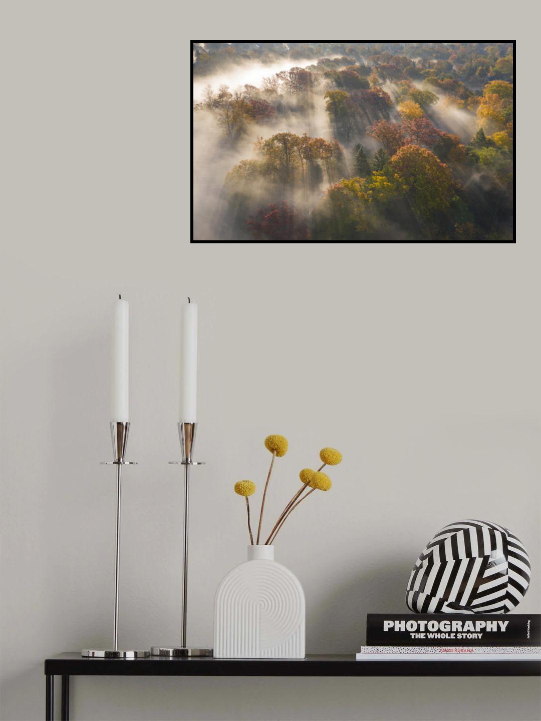 Colour of Autumn Poster och Canvastavla