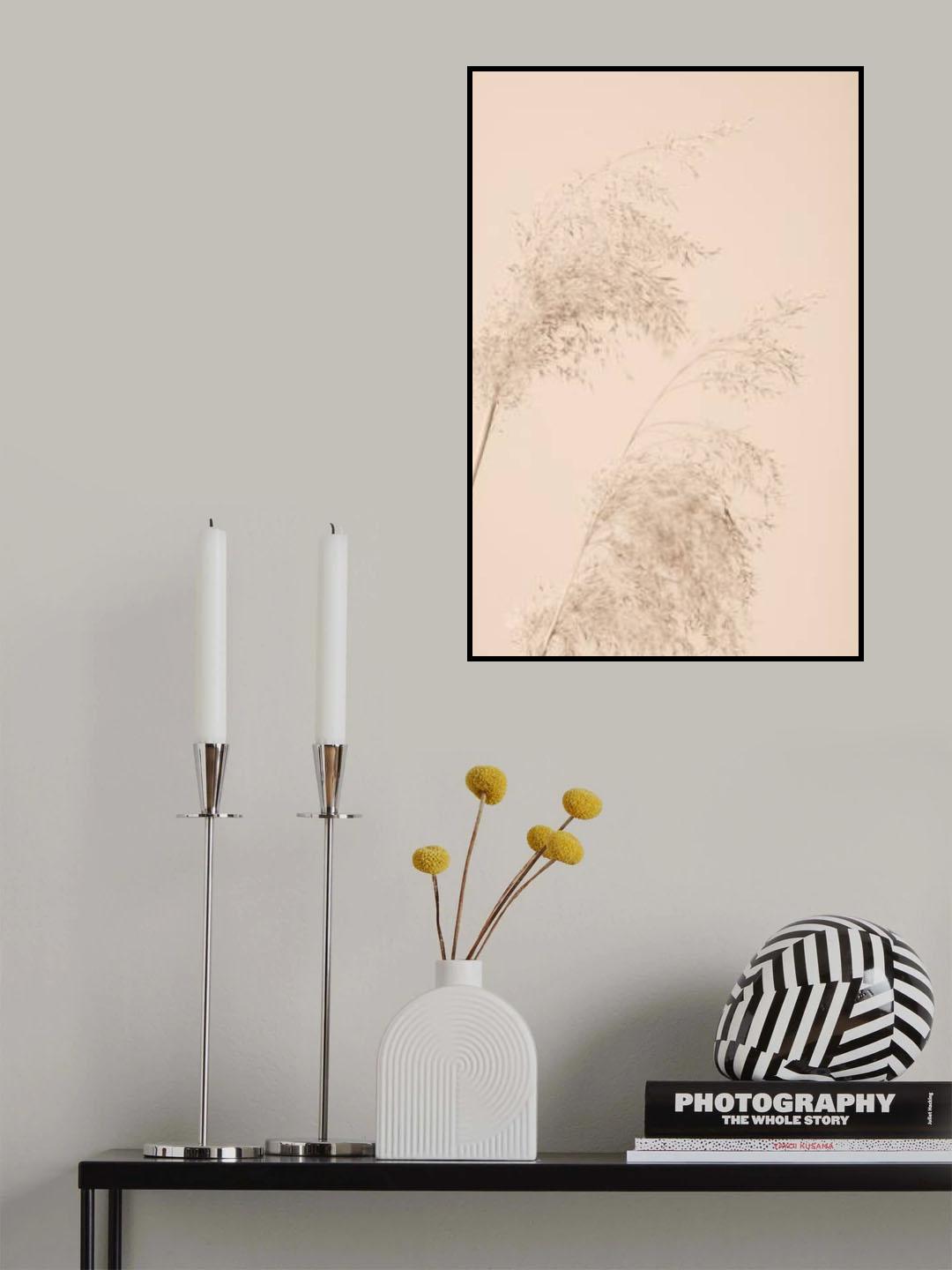Reed Grass Beige 06 Poster och Canvastavla