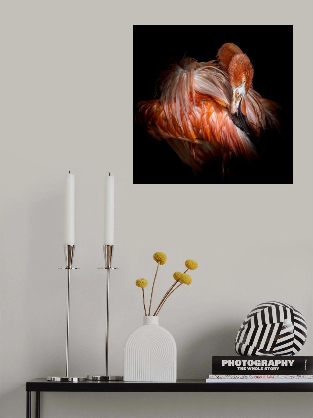 Flamingo Poster och Canvastavla