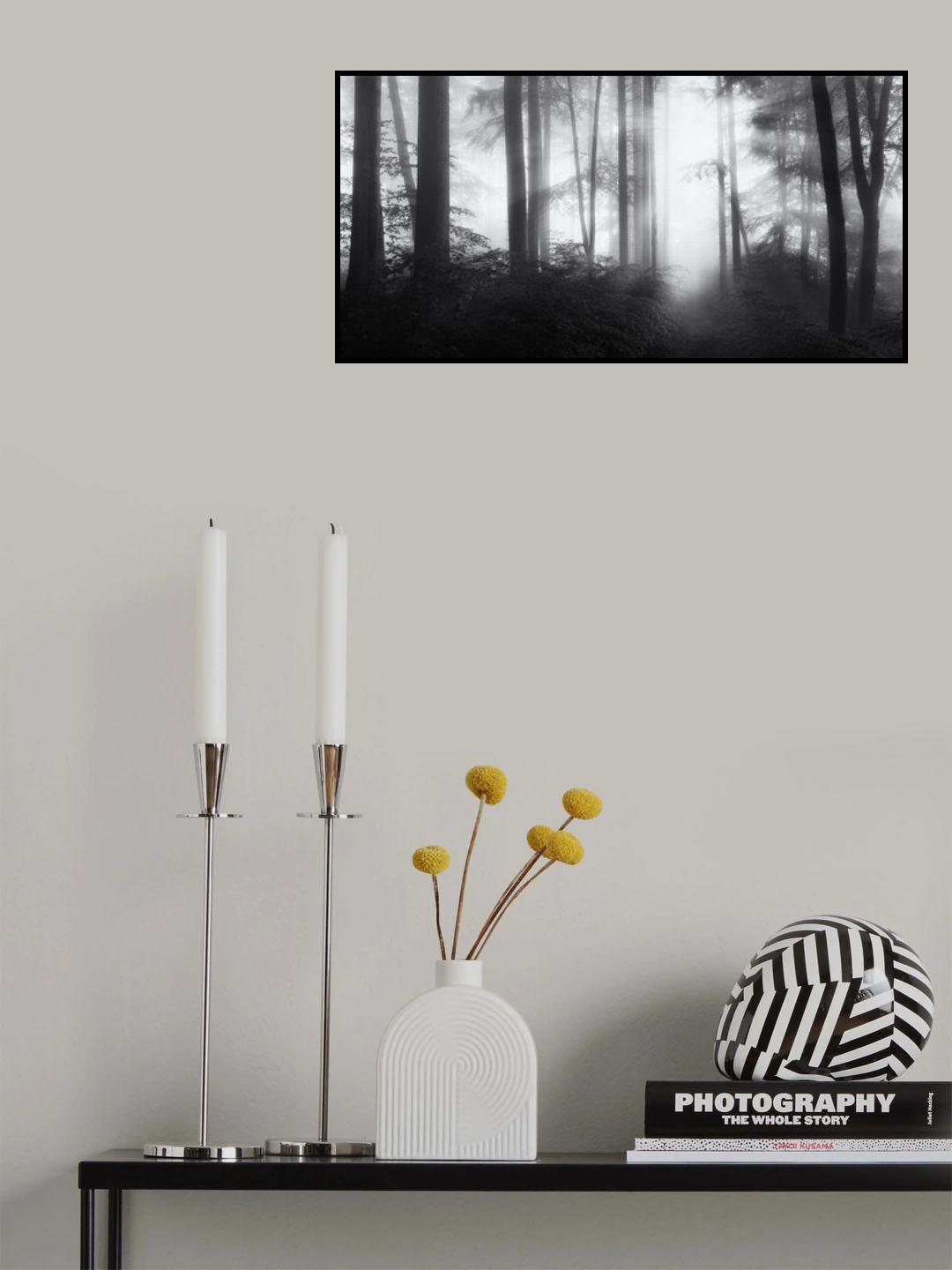 if you go your own way Poster och Canvastavla