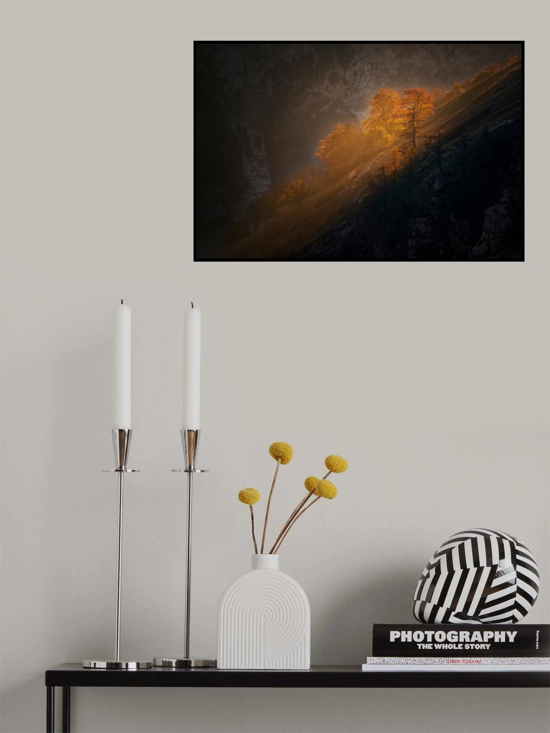 Last light on the trees Poster och Canvastavla
