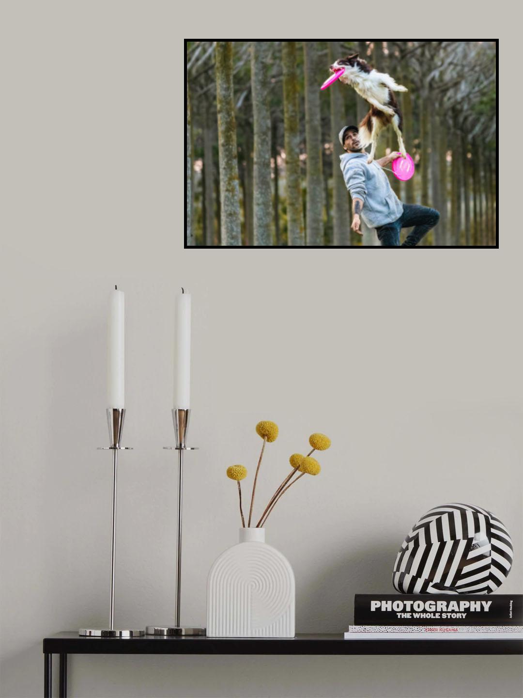 Dog and Frisbee Poster och Canvastavla