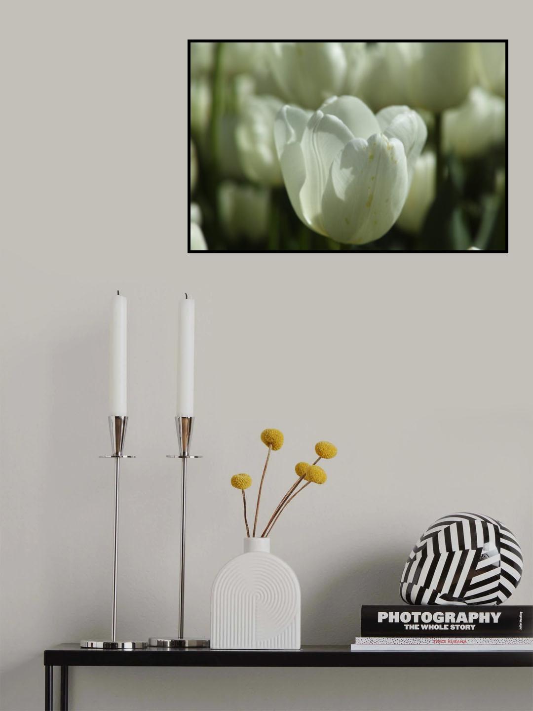 colorful tulips Poster och Canvastavla