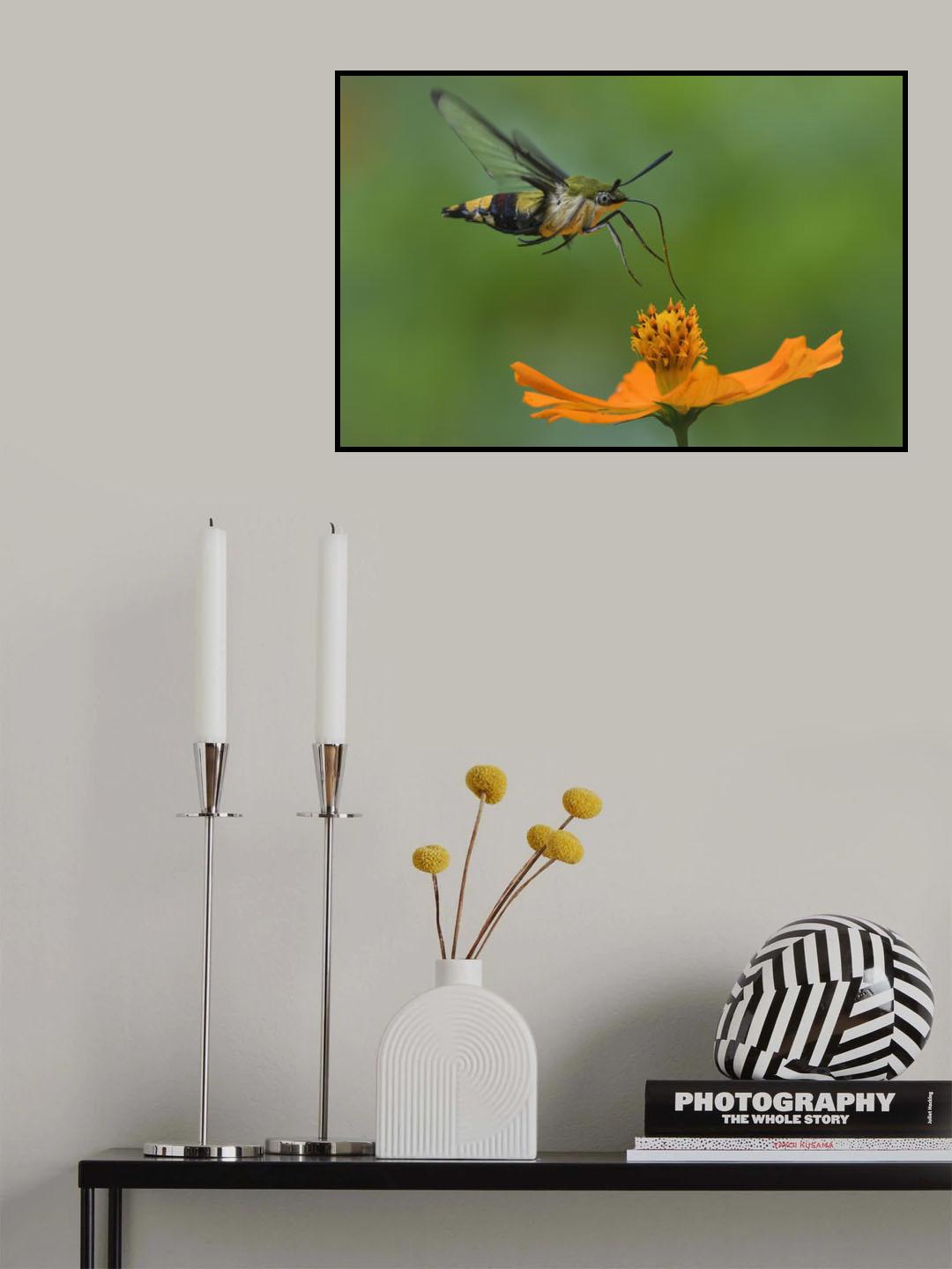 Fly Poster och Canvastavla