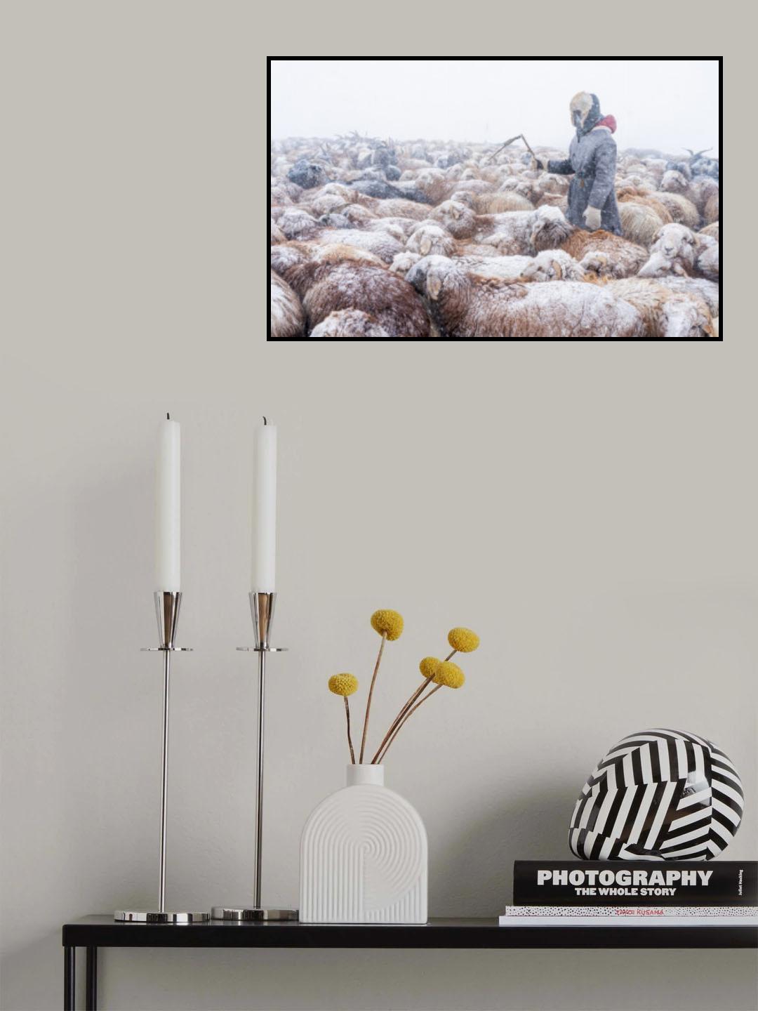 Migration during snow blizzards Poster och Canvastavla