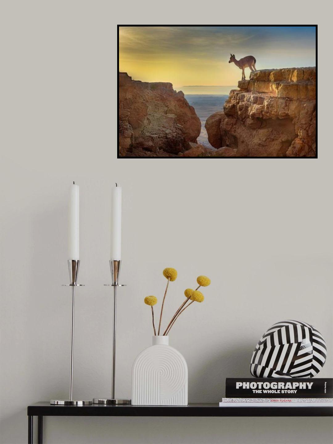 The Comtemplation Poster och Canvastavla