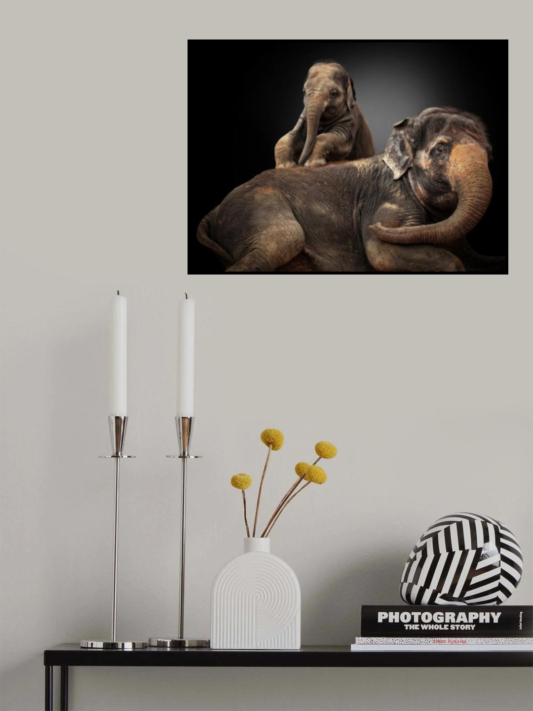 MY BELOVED TROUBLEMAKER Poster och Canvastavla