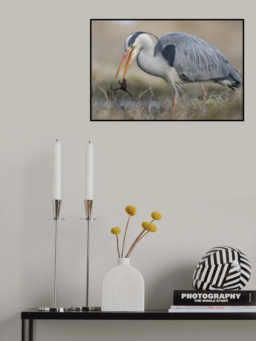David vs Goliat Poster och Canvastavla