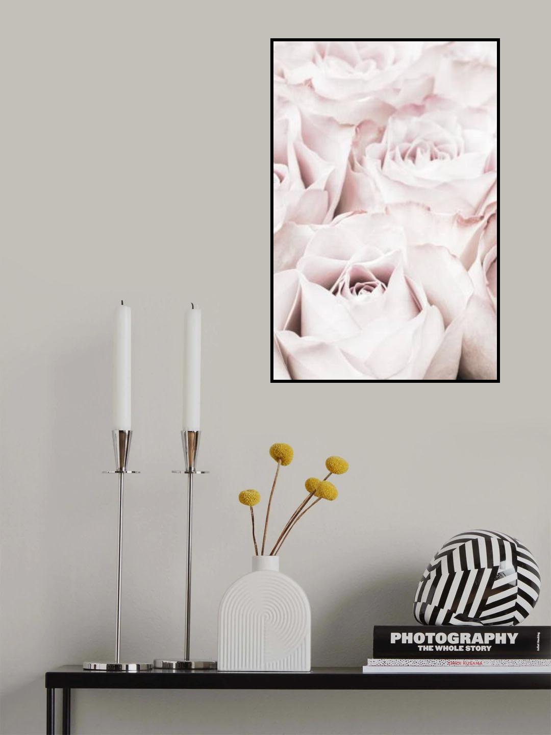 Pink Roses No 04 Poster och Canvastavla