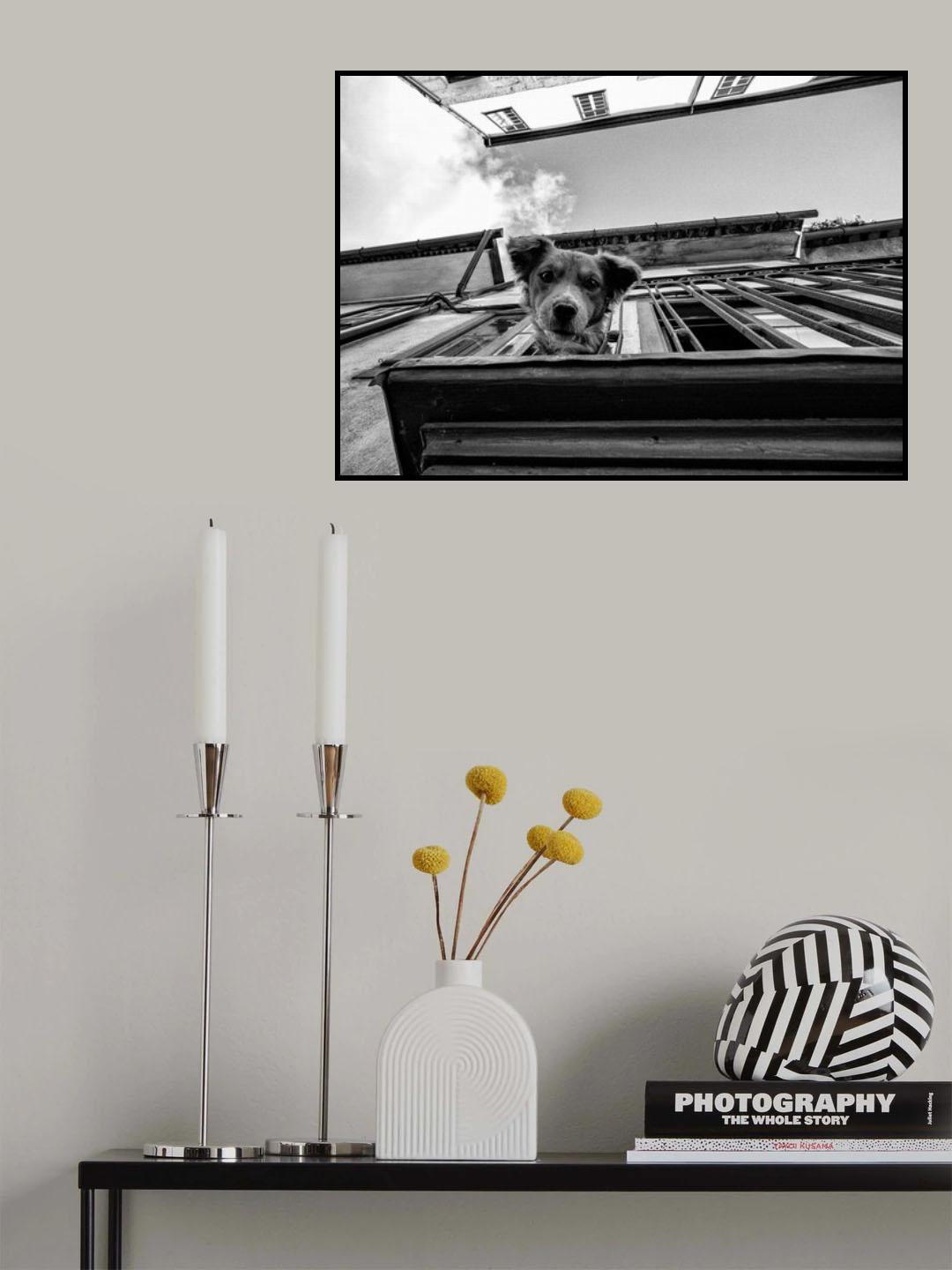 Poster och Canvastavla