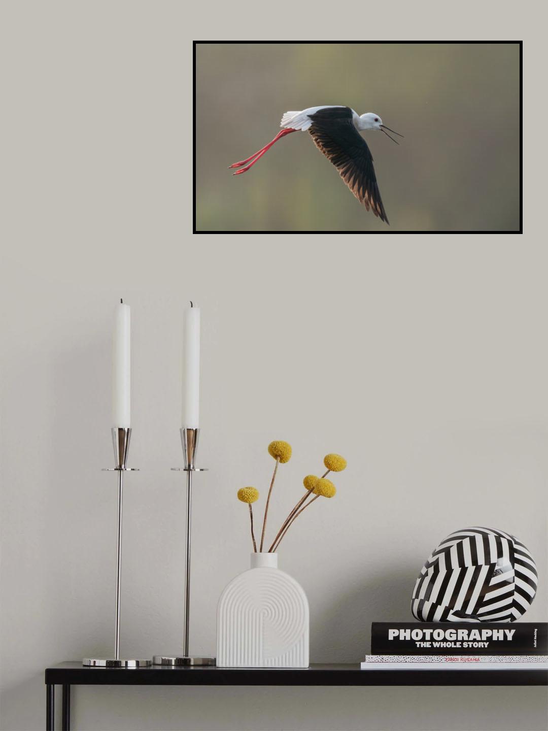 Poster och Canvastavla