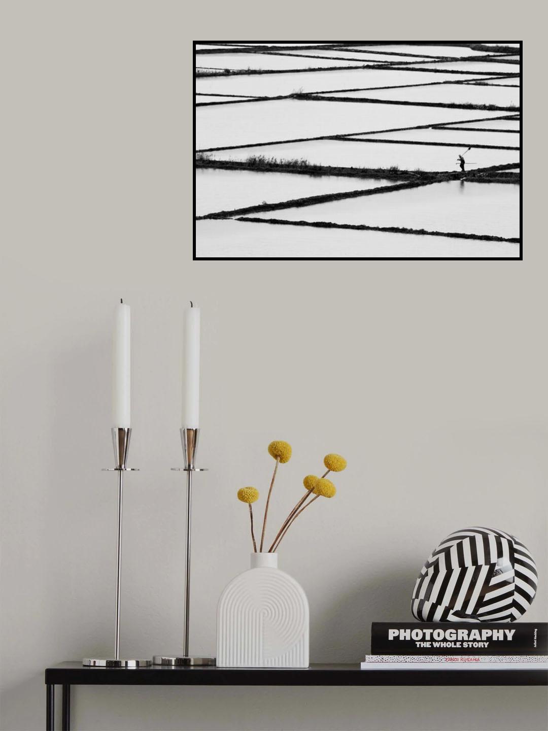 rice paddy Poster och Canvastavla
