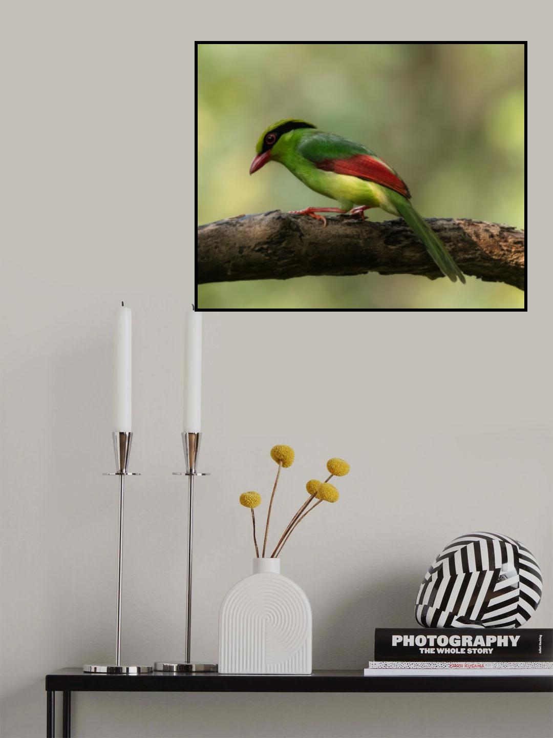 Green Magpie Poster och Canvastavla
