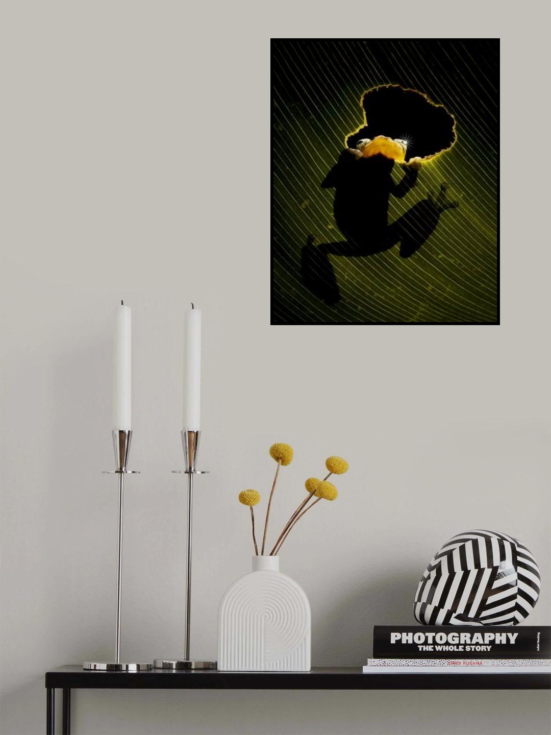 Peeking Poster och Canvastavla