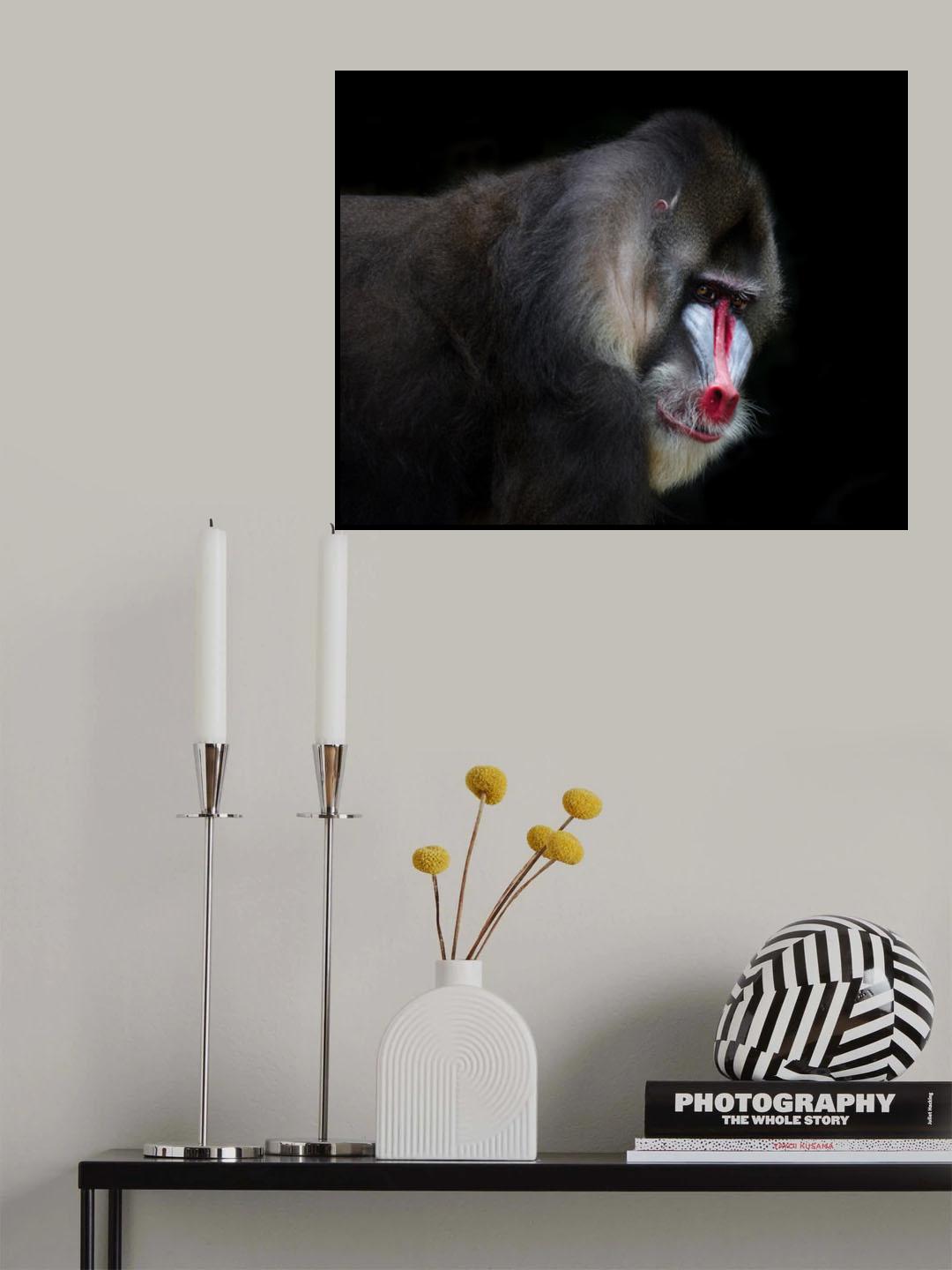 Mandrill-2 Poster och Canvastavla