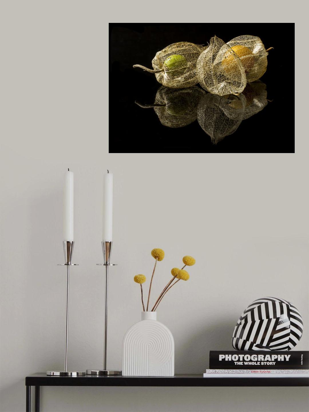 Physalis Alkekengi L. Poster och Canvastavla