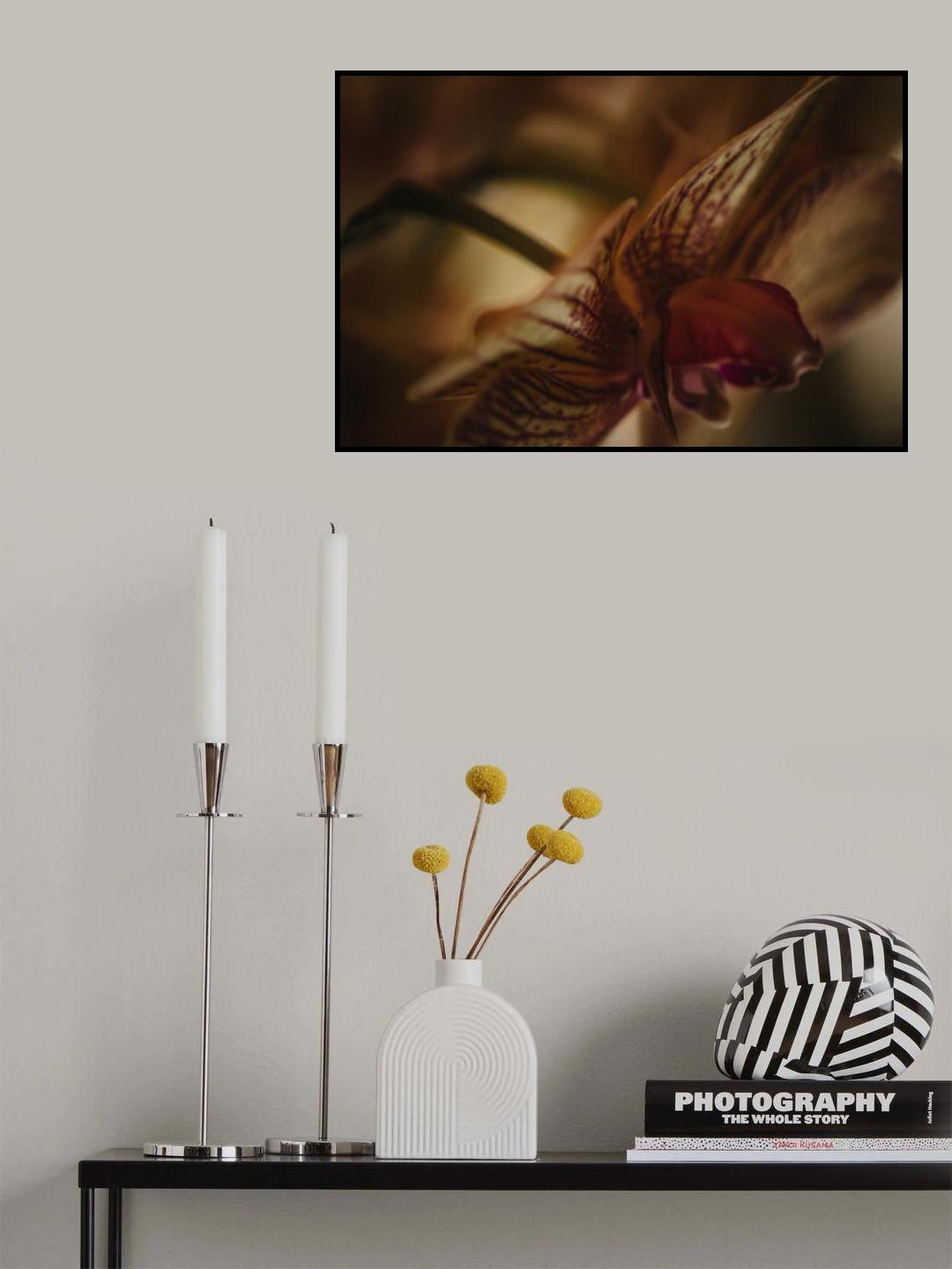 Botanical Series - Orchid 2/2 Poster och Canvastavla