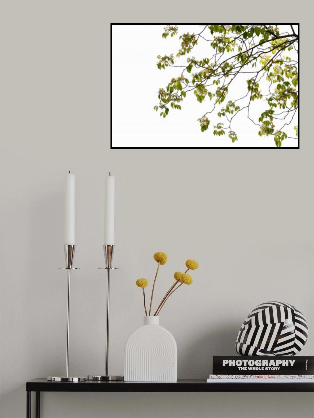 Green Tree Foliage Photo II Poster och Canvastavla