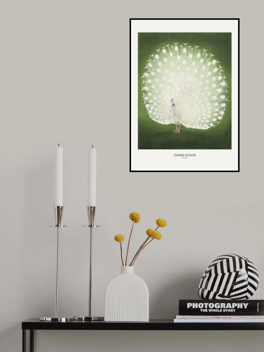 Peacock - Wide Poster och Canvastavla